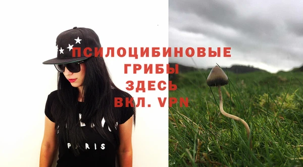 PSILOCYBIN Бронницы