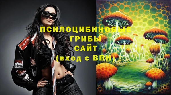 a pvp Магас