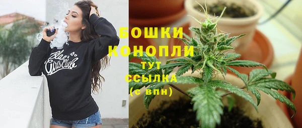 a pvp Магас