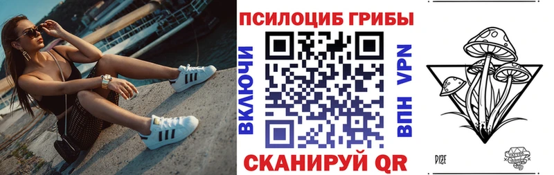 где купить   Тюкалинск  Галлюциногенные грибы мицелий 